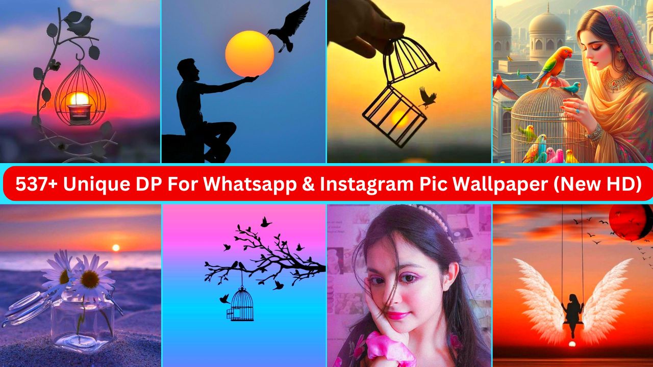 537+ Unique Dp For Whatsapp & Instagram Pic Wallpaper (new Hd 2024)