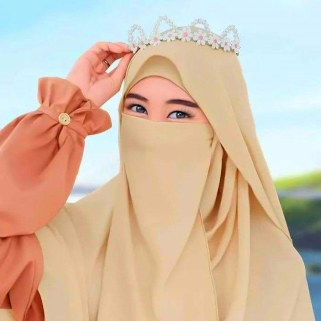 Aesthetic Hijab Girl Dp