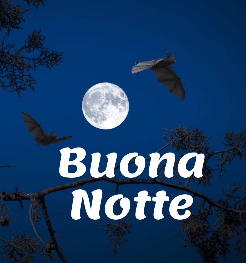 Buonanotte Gratis