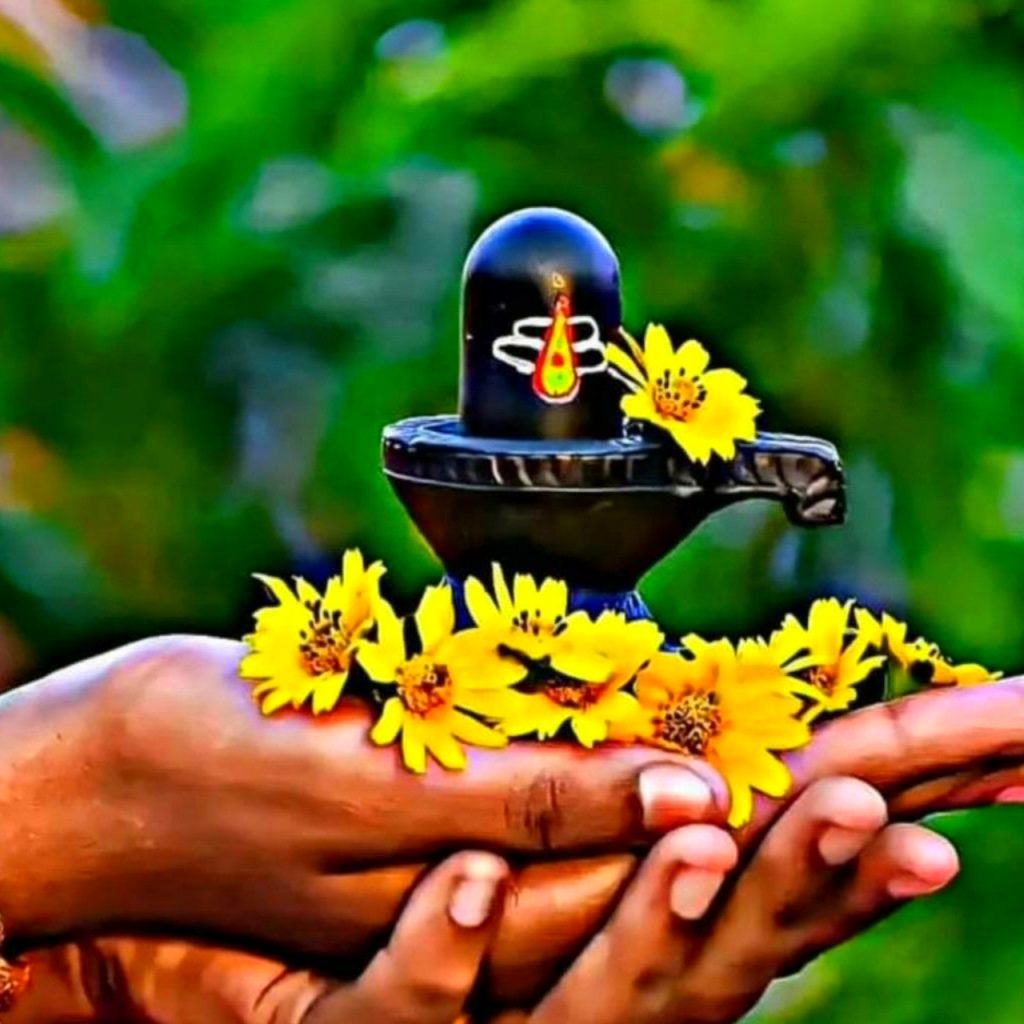 Mahadev Shivling Images