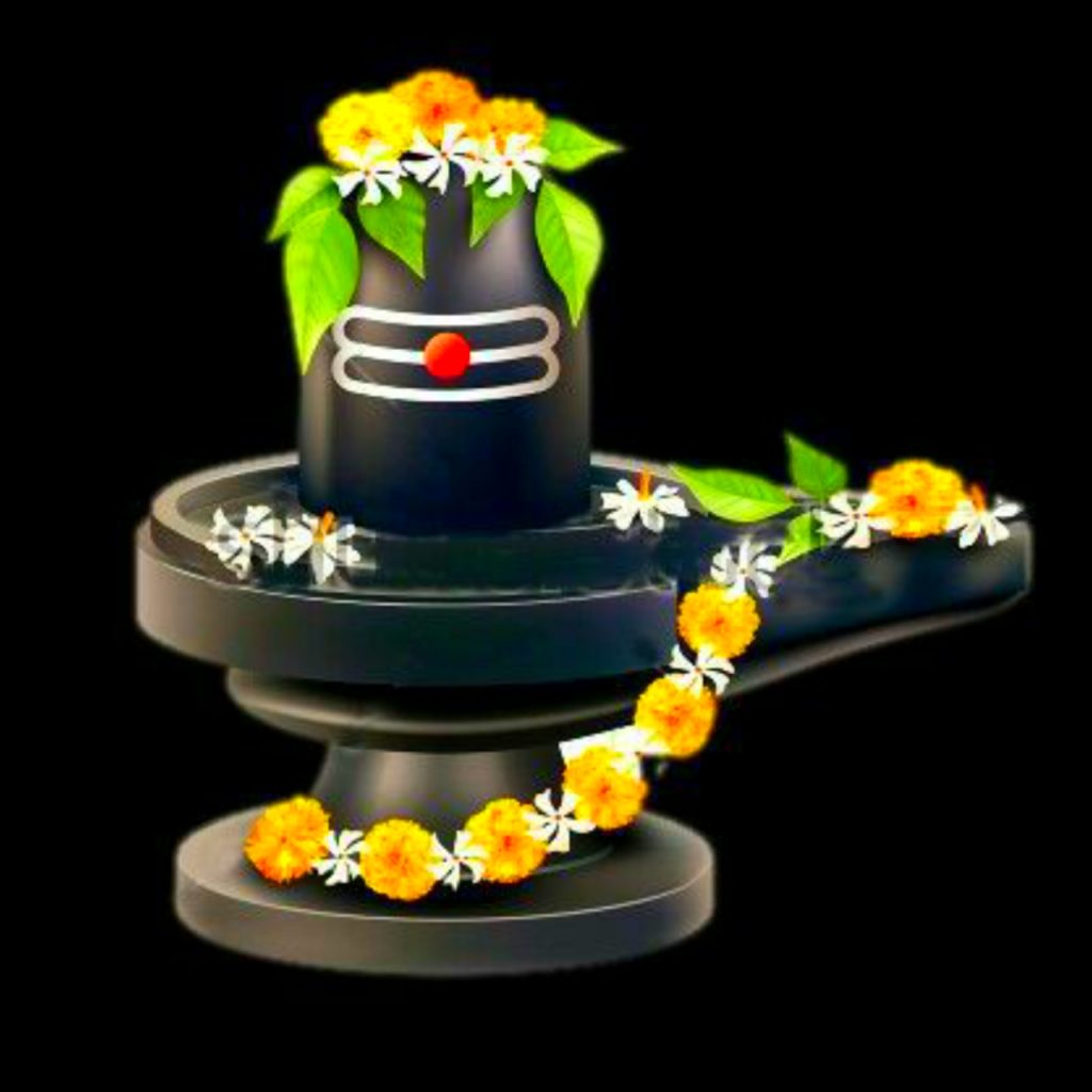 Mahadev Shivling Pic